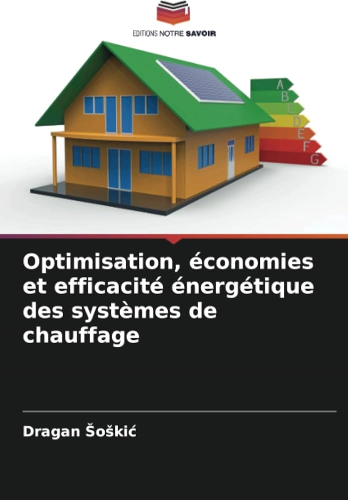 Optimisation-economies