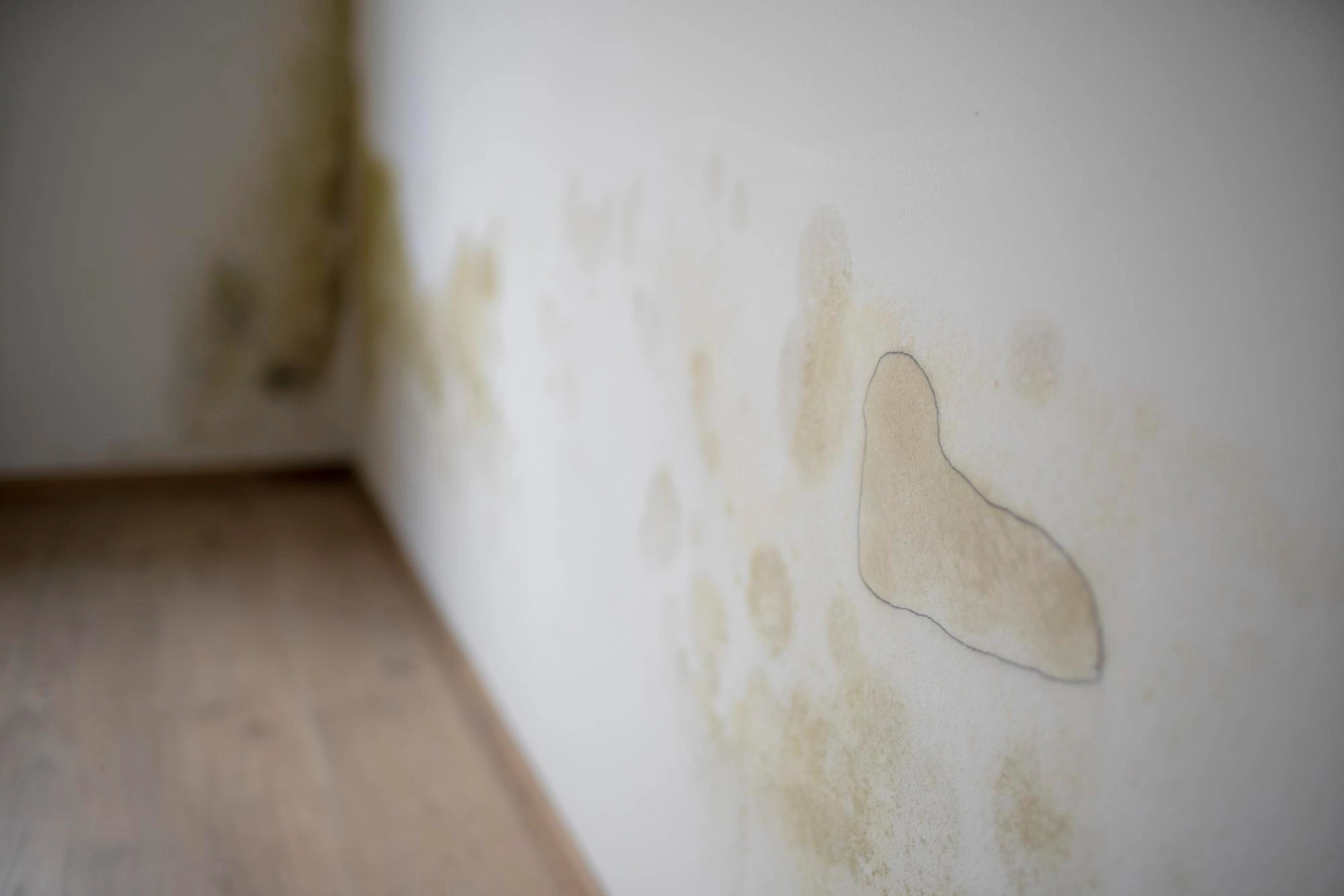 humidité étanchéité toiture Tunisie