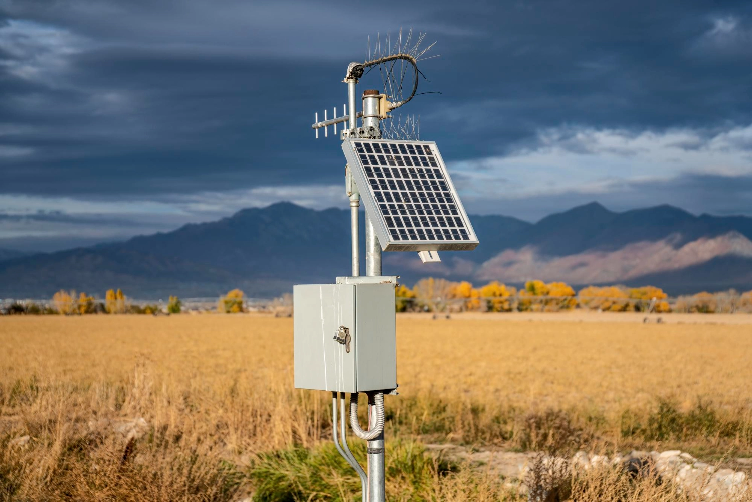  revente électricité solaire Tunisie